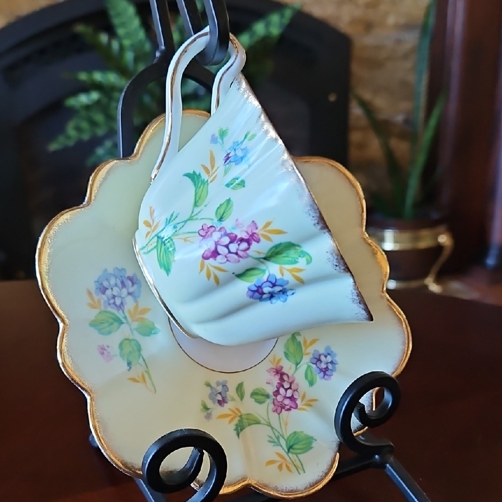 Beautiful Rosina Bone China Floral Teacup and Saucer